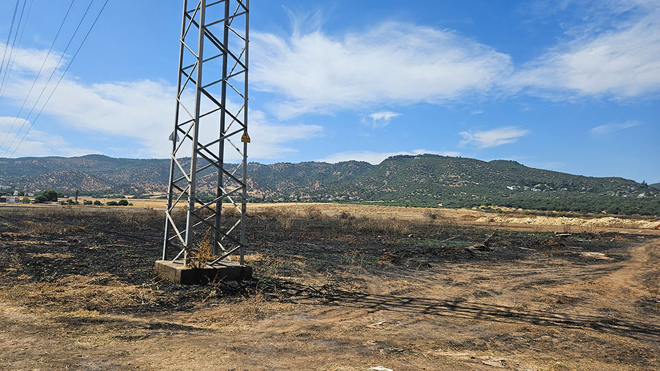 Obras Plan Parcial O-2 Córdoba - Bauvier